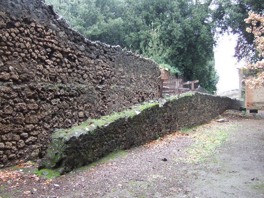 Unnamed access onto Triangular Forum. Looking west from Triangular Forum. December 2005.