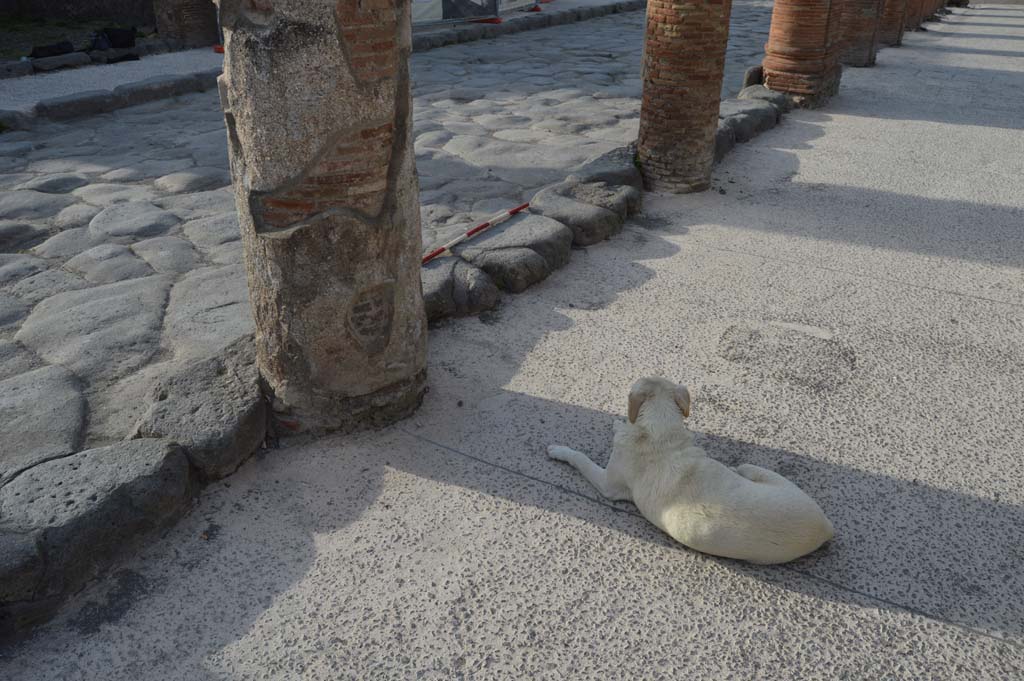 Via del Foro, east side, Pompeii. March 2019. 
Second column at south end of portico, on left, outside VII.4.10, looking north-west. 
Foto Taylor Lauritsen, ERC Grant 681269 DÉCOR.