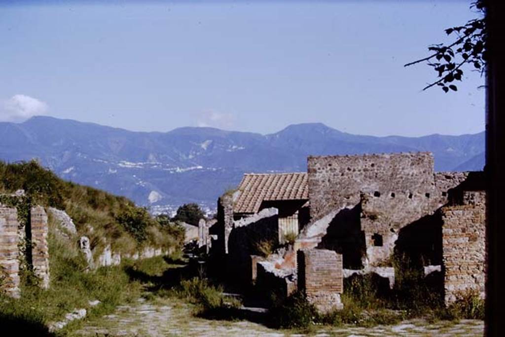 Via del Vesuvio (Via Stabiana) between V.6 and VI.16. Pompeii, 1968. Looking south from near water tower.  Photo by Stanley A. Jashemski.
Source: The Wilhelmina and Stanley A. Jashemski archive in the University of Maryland Library, Special Collections (See collection page) and made available under the Creative Commons Attribution-Non Commercial License v.4. See Licence and use details.
J68f0072