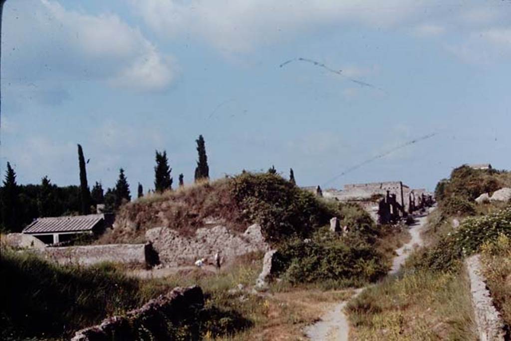 Via dell’Abbondanza, Pompeii, between II.5 and III.7. 1968. Looking west. Photo by Stanley A. Jashemski.
Source: The Wilhelmina and Stanley A. Jashemski archive in the University of Maryland Library, Special Collections (See collection page) and made available under the Creative Commons Attribution-Non Commercial License v.4. See Licence and use details.
J68f0746