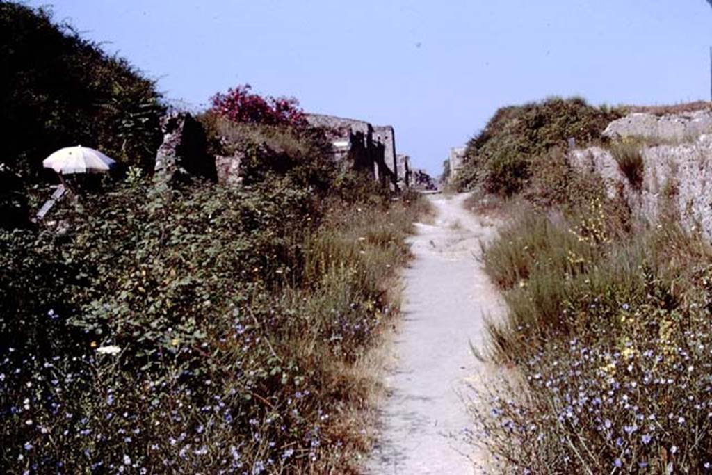 Via dell’Abbondanza, looking west from near II.5. Pompeii. 1966. Photo by Stanley A. Jashemski.
Source: The Wilhelmina and Stanley A. Jashemski archive in the University of Maryland Library, Special Collections (See collection page) and made available under the Creative Commons Attribution-Non Commercial License v.4. See Licence and use details.
J66f0458