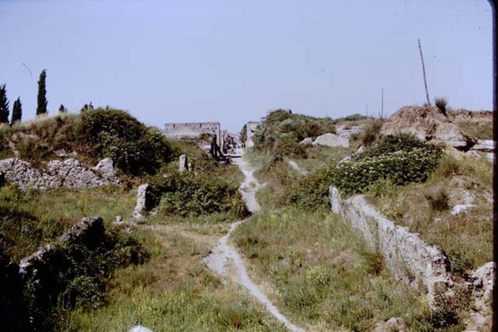 Via dell’Abbondanza, Pompeii, 1968. Looking west between II.5 and III.7. Photo by Stanley A. Jashemski.
Source: The Wilhelmina and Stanley A. Jashemski archive in the University of Maryland Library, Special Collections (See collection page) and made available under the Creative Commons Attribution-Non Commercial License v.4. See Licence and use details.
J68f0315