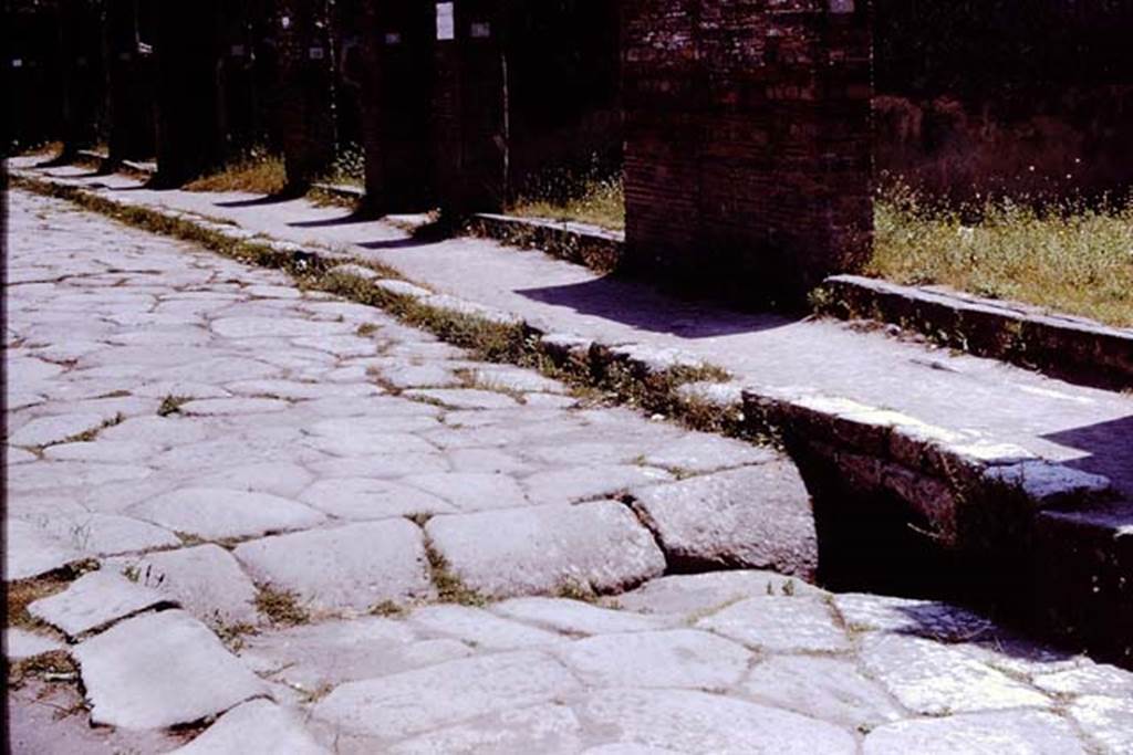 Via dell’ Abbondanza, south side, looking east. Pompeii. 1961. Photo by Stanley A. Jashemski.
Source: The Wilhelmina and Stanley A. Jashemski archive in the University of Maryland Library, Special Collections (See collection page) and made available under the Creative Commons Attribution-Non Commercial License v.4. See Licence and use details.
J61f0734