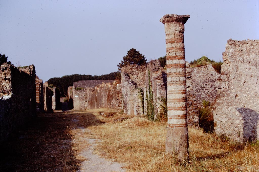 Via della Palestra, Pompeii. 1973. Looking east along north side of I.21, from between I.15 and I.21. Photo by Stanley A. Jashemski. 
Source: The Wilhelmina and Stanley A. Jashemski archive in the University of Maryland Library, Special Collections (See collection page) and made available under the Creative Commons Attribution-Non-Commercial License v.4. See Licence and use details.
J73f0205