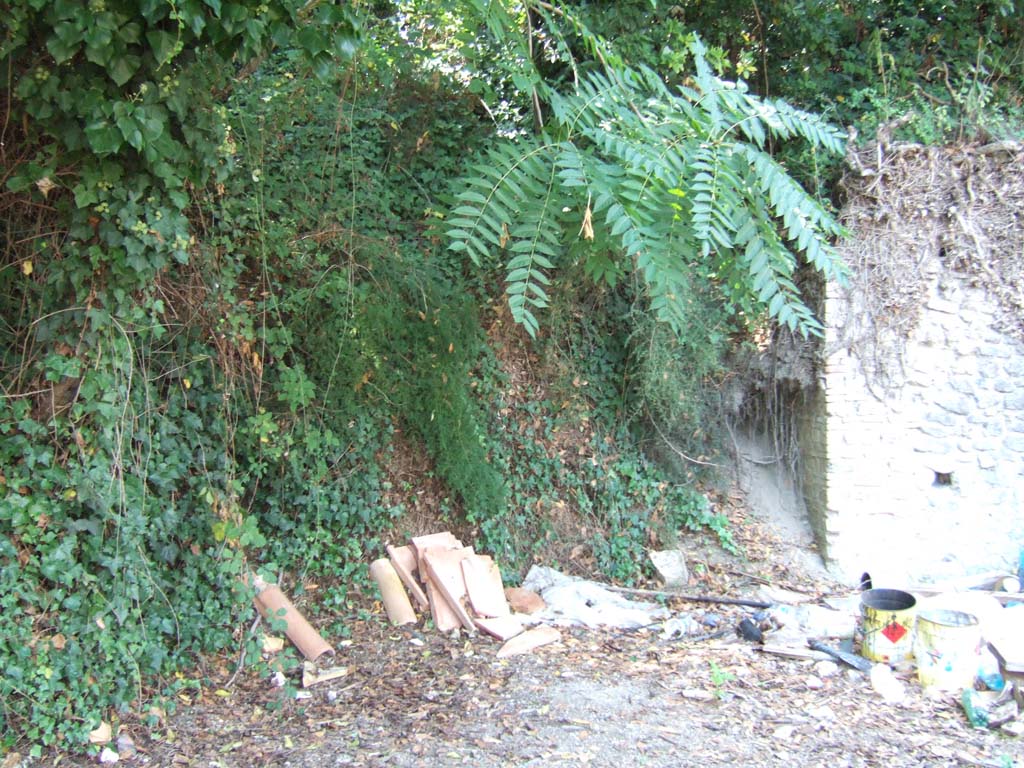 Unexcavated vicolo at west end of Via della Palestra. September 2005. Looking west at south end of I.17.