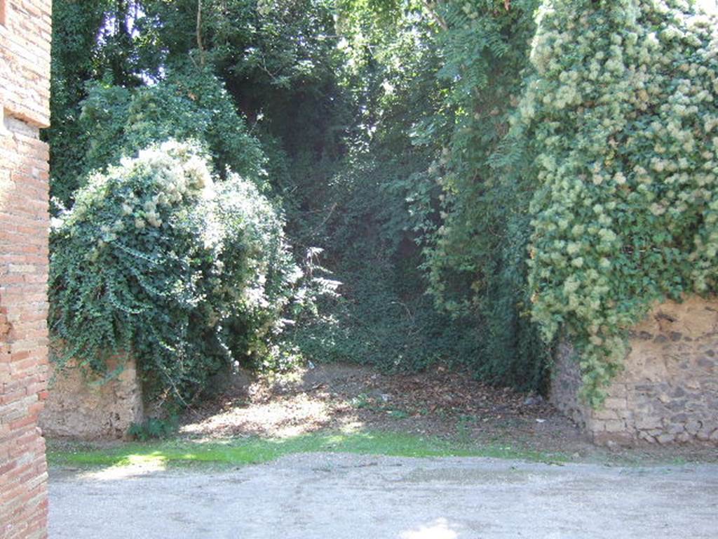 Looking south towards unnamed unexcavated vicolo between I.18 and I.19 on south side of Via di Castricio, opposite Vicolo dell’Efebo. 
September 2005.