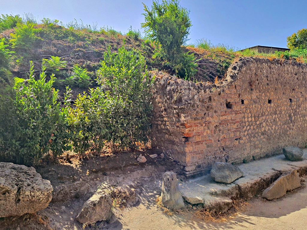 Unexcavated vicolo between I.17 and I.18 on south side of Via di Castricio. September 2024. 
Looking south-west towards I.18. Photo courtesy of Giuseppe Ciaramella.