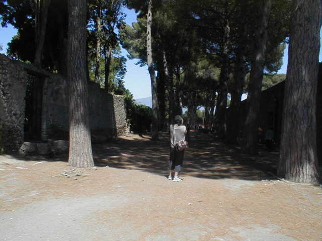 Via di Castricio between II.2 and II.7. May 2005. Looking east from the junction of Vicolo di Octavius Quartio to the north and an unnamed vicolo on west side of Palestra to the south.