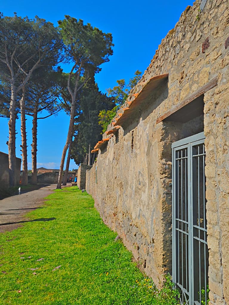Via di Castricio, Pompeii. March 2024. 
Looking west from doorway of II.3.8/9. Photo courtesy of Giuseppe Ciaramella.