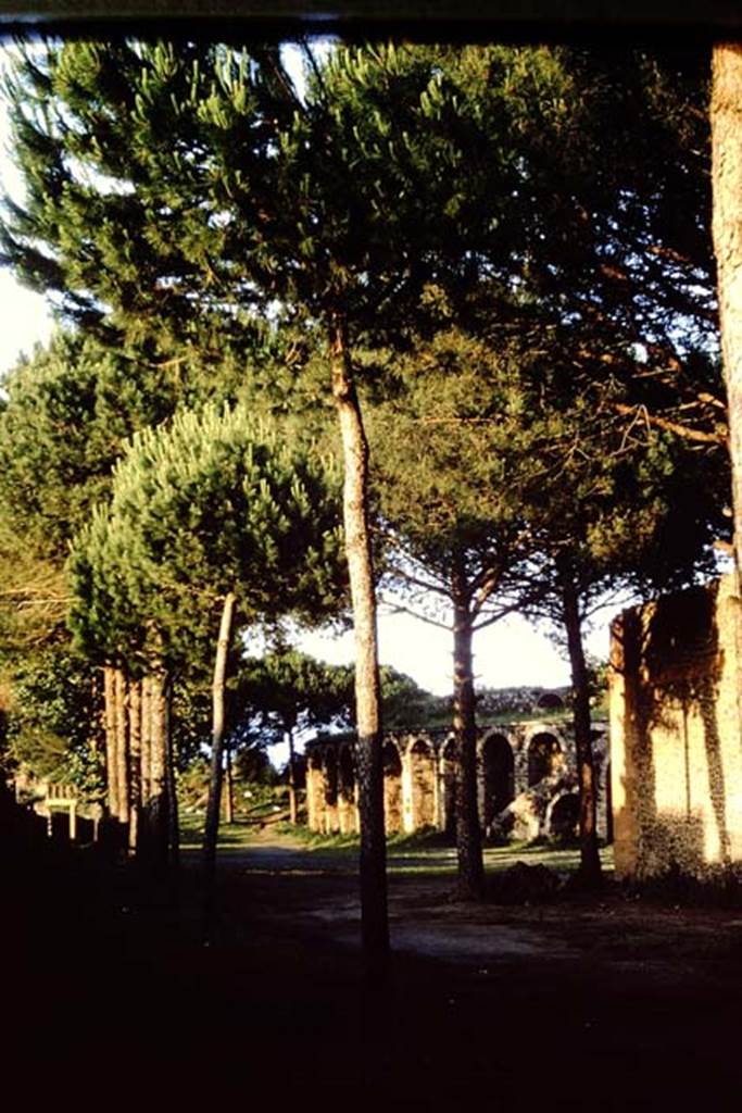 Via di Castricio, south side, Pompeii. 1964. Looking east towards the ampitheatre.   Photo by Stanley A. Jashemski.
Source: The Wilhelmina and Stanley A. Jashemski archive in the University of Maryland Library, Special Collections (See collection page) and made available under the Creative Commons Attribution-Non Commercial License v.4. See Licence and use details.
J64f1341