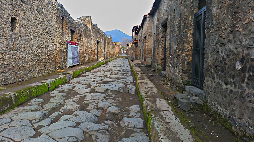 Via di Nocera, Pompeii. 2017/2018/2019. 
Looking north between I.14.1 on left, and II.9.1 on right. Photo courtesy of Giuseppe Ciaramella.
