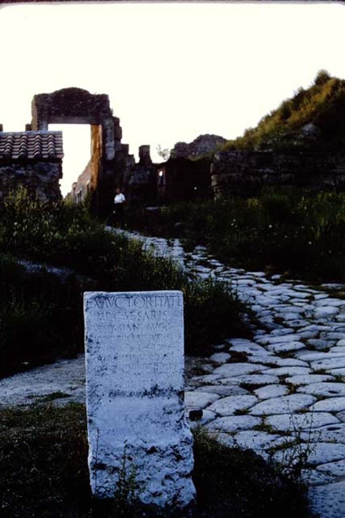Via di Nocera, Pompeii. 1964. Looking north to Gate from junction with Via delle Tombe.   Photo by Stanley A. Jashemski.
Source: The Wilhelmina and Stanley A. Jashemski archive in the University of Maryland Library, Special Collections (See collection page) and made available under the Creative Commons Attribution-Non Commercial License v.4. See Licence and use details.
J64f1665