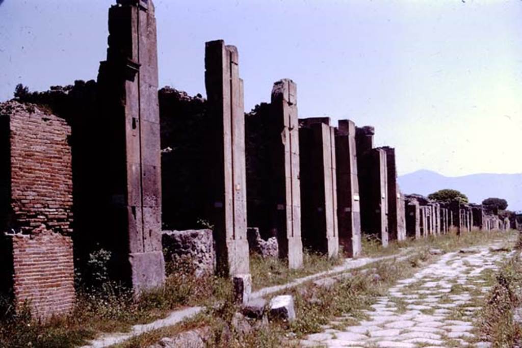 Via di Nola, Pompeii, north side. 1964. Looking east along V.1 from near V.1.2.   Photo by Stanley A. Jashemski.
Source: The Wilhelmina and Stanley A. Jashemski archive in the University of Maryland Library, Special Collections (See collection page) and made available under the Creative Commons Attribution-Non Commercial License v.4. See Licence and use details.
J64f1094