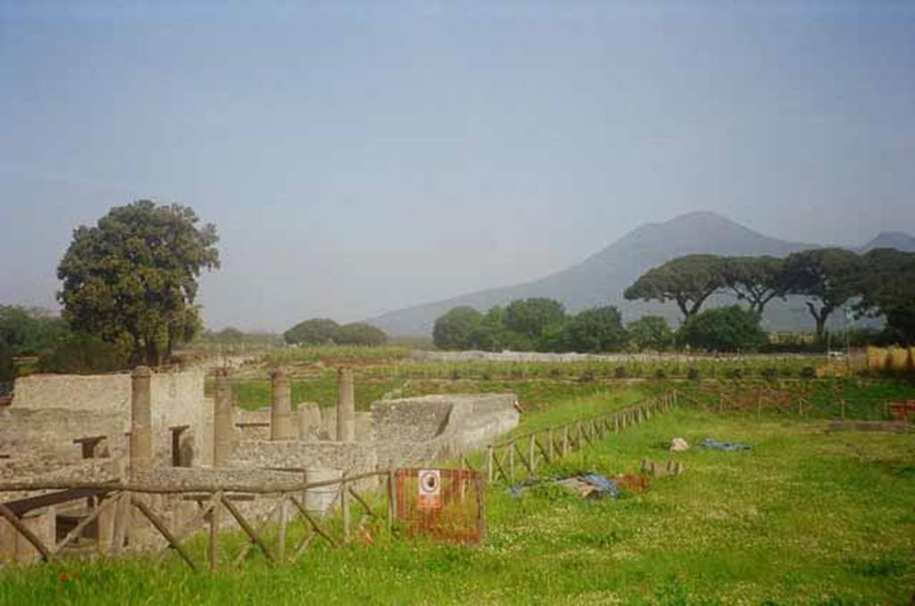 IX.14 Pompeii. May 2010. Looking north along site of unnamed unexcavated vicolo, between IX.14 and III.8, from the rear of the insula.Photo courtesy of Rick Bauer.
