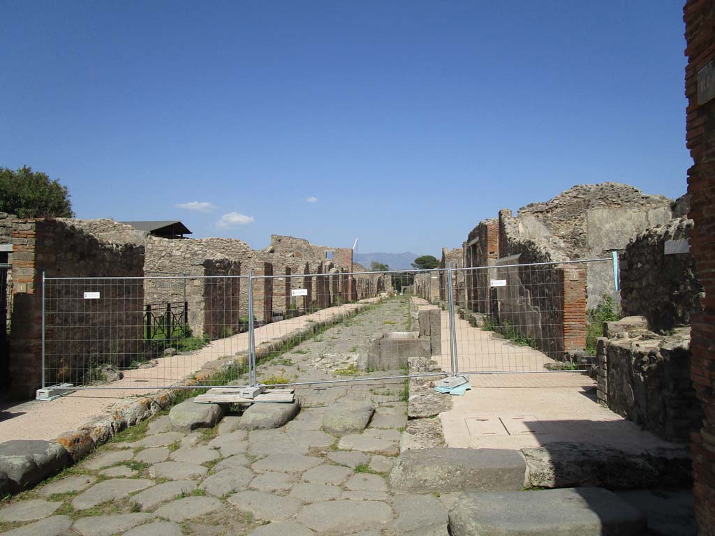 Via di Nola, Pompeii. April 2019. Looking east.
This photo was taken between V.3 and IX.8, from junction with Vicolo dei balconi, on left, and Vicolo del Centenario, on right.
There was no access to the Via di Nola past this point. Photo courtesy of Rick Bauer.
The above photo, and the one above this, show the problem of weed-growth at Pompeii. 
The photos, taken within a very few short weeks apart, show how quickly the weeds grow and do their damage.
However, this is not a new problem, see the photo dated 7th August 1976, in the previous part of this web-site, entitled -
(Via di Nola, 7th August 1976. Looking west from near IX.8.7, on left.
Photo courtesy of Rick Bauer, from Dr George Fay’s slides collection.)
