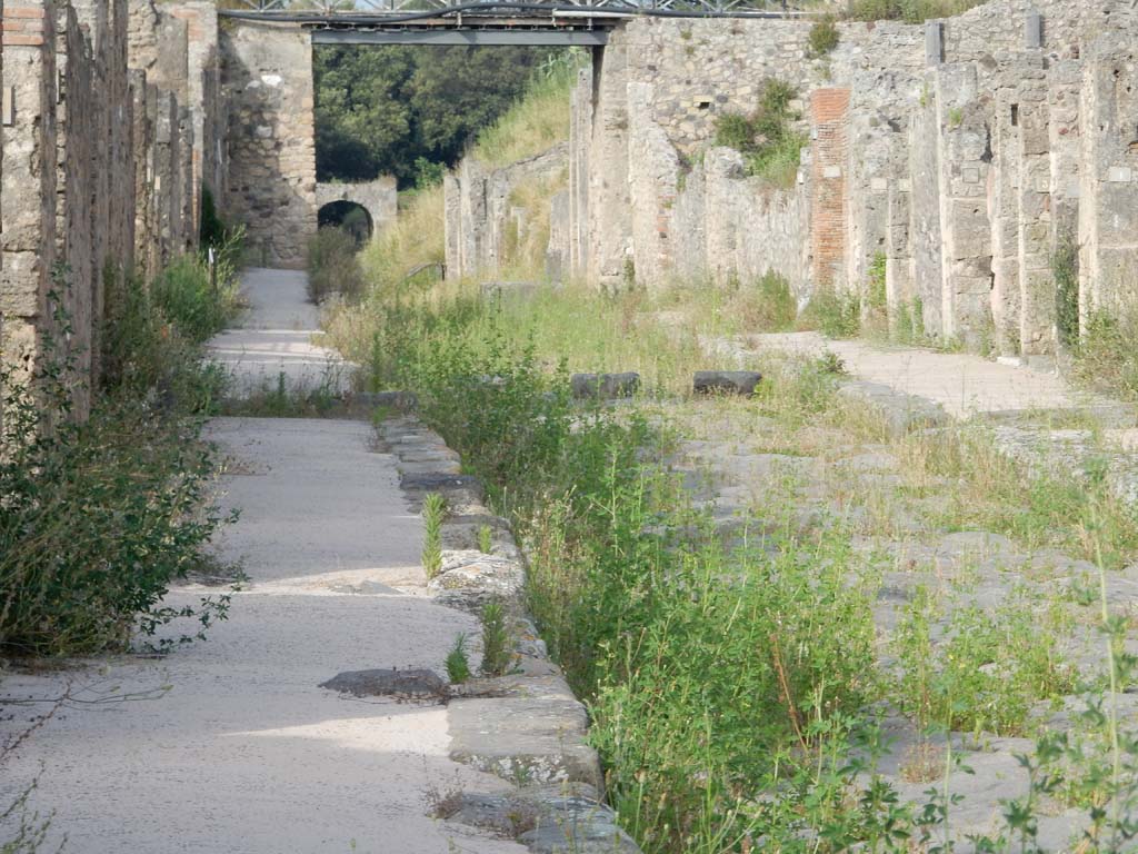 Via di Nola, Pompeii. June 2019. Looking east towards bridge separating V.5, on left, and IX.10/14, on right. 
Photo courtesy of Buzz Ferebee.
