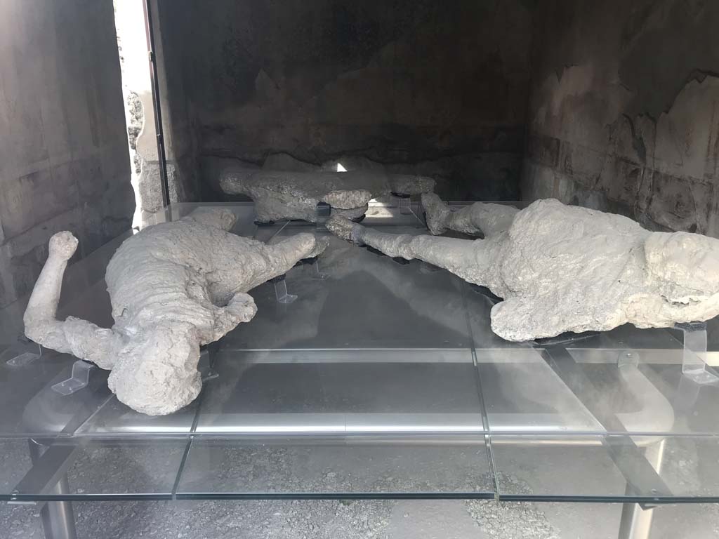 Vicolo degli Scheletri, Pompeii. April 2019. 
Three of the four plaster-casts of a family group found in the Vicolo degli Scheletri in February 1863.
Photo courtesy of Rick Bauer.