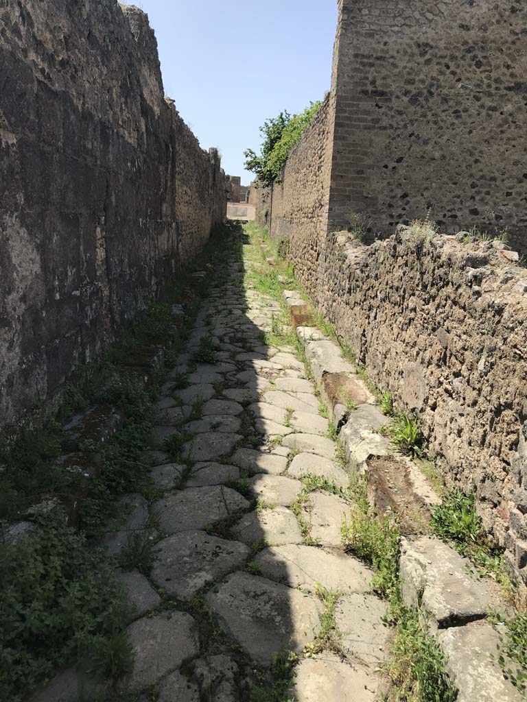 Vicolo degli Scheletri between VII.14 and VII.11. April 2019. Looking west. 
Photo courtesy of Rick Bauer.