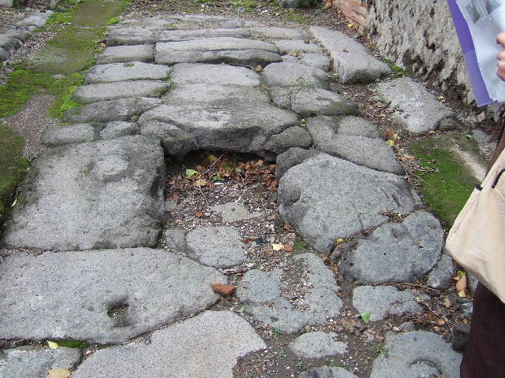 Vicolo del Balcone Pensile. Ramp/Drain between VII.9.41 and VII.9.42. March 2009.