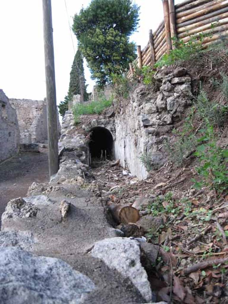 Vicolo del Citarista between I.2 and I.19. Pompeii. September 2010.
Looking north along west side of unexcavated insula 19. Photo courtesy of Drew Baker.