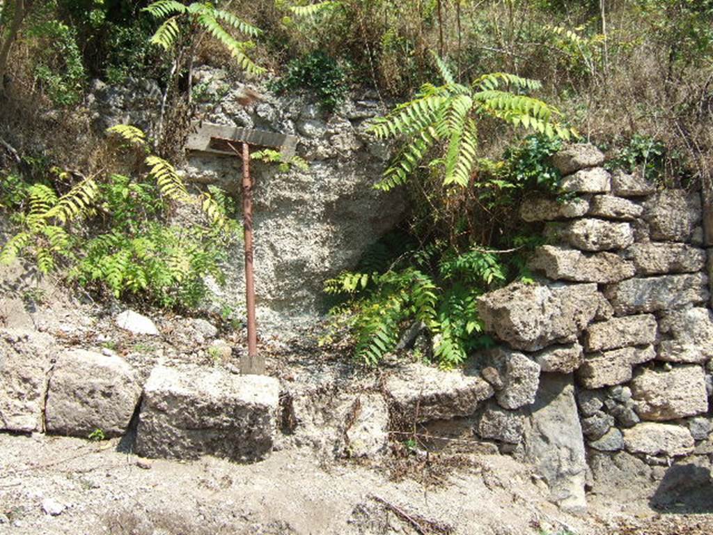 Unexcavated vicolo. Looking east between I.19 and I.25 from Vicolo del Citarista. September 2005.