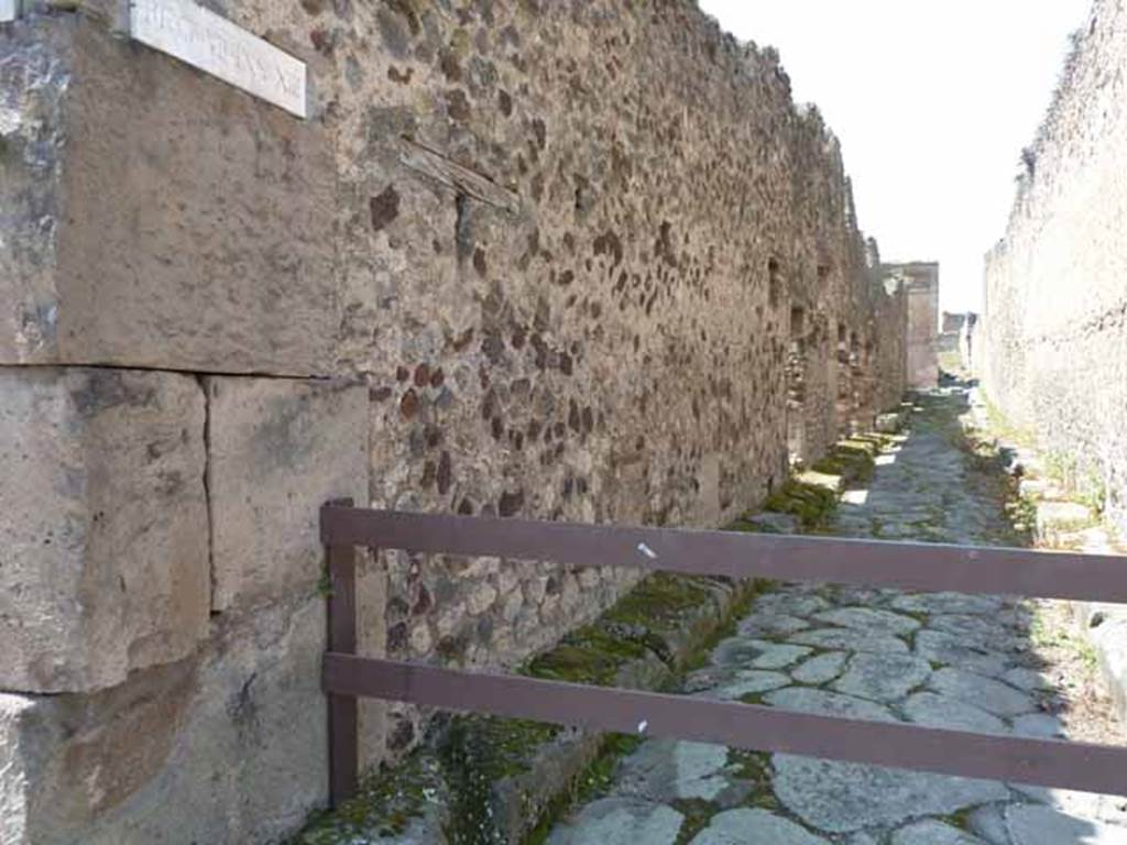 Vicolo della Maschera, west side, May 2010. Looking west along Vicolo degli Scheletri between VII.13 and VII.10.