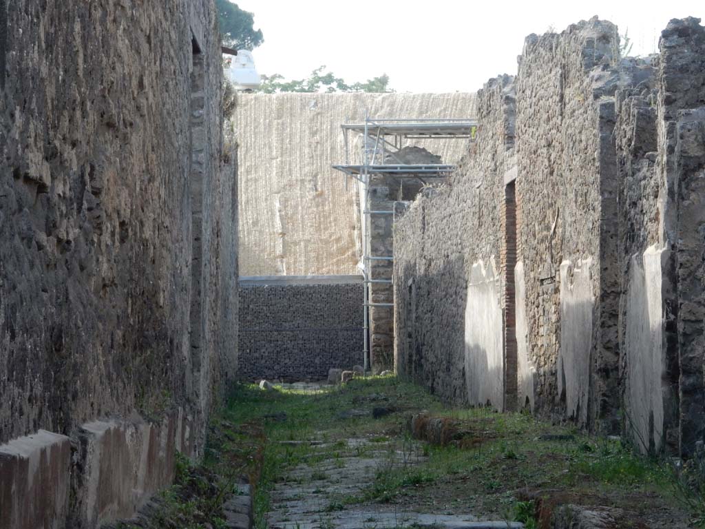 Vicolo di Cecilio Giocondo. June 2019. Looking north towards new excavations from near V.2.d, e, and f, on right.
Photo courtesy of Buzz Ferebee.