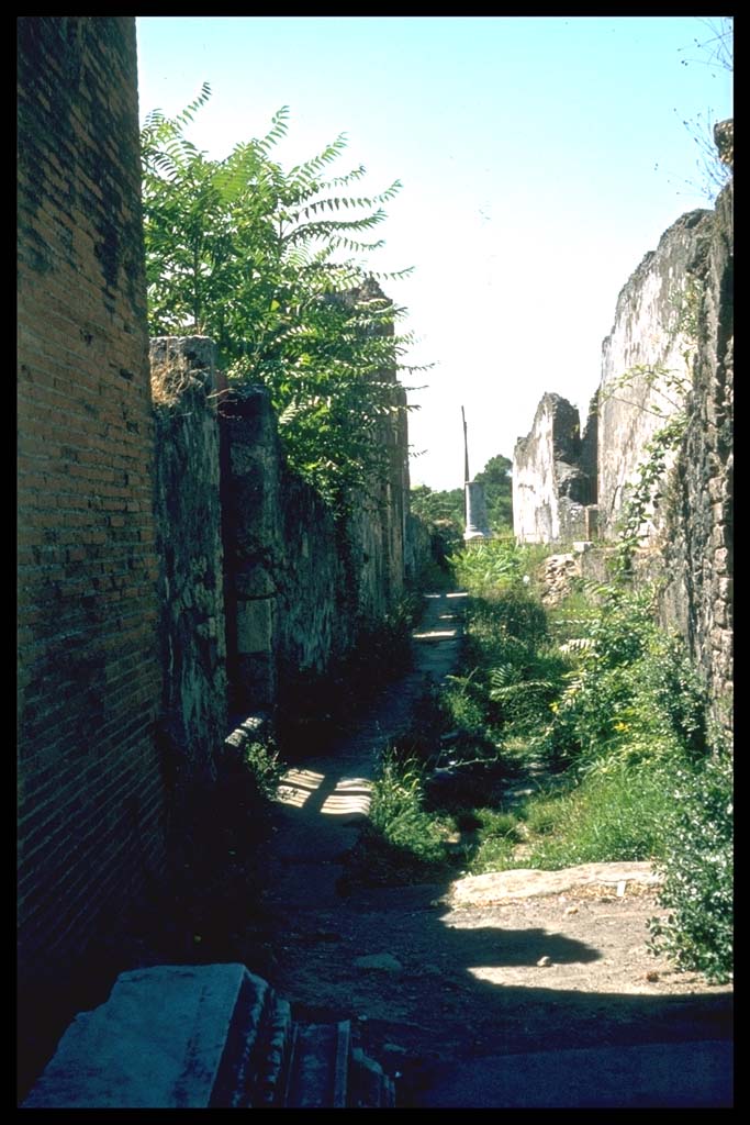 Vicolo di Championnet between VIII.2 and VIII.1.  Looking west from VIII.2.5. 
Photographed 1970-79 by Günther Einhorn, picture courtesy of his son Ralf Einhorn.