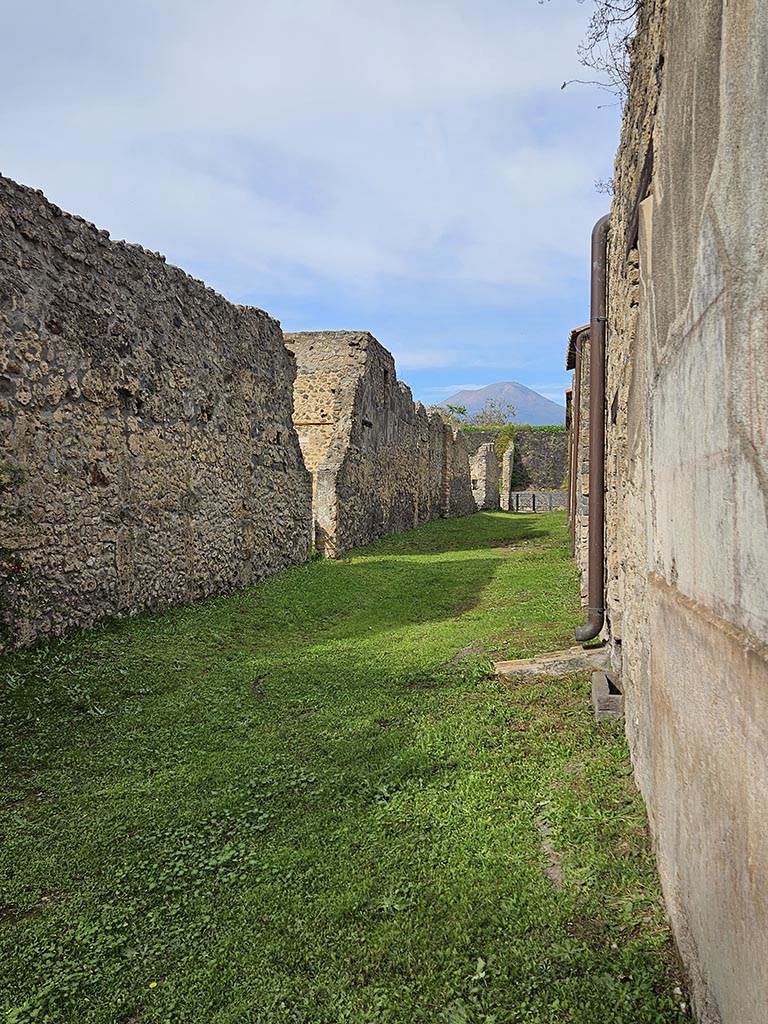 Vicolo di Giulia Felice, Pompeii. November 2024. 
Looking north from near II.4.10 on east side of Vicolo. Photo courtesy of Annette Haug.