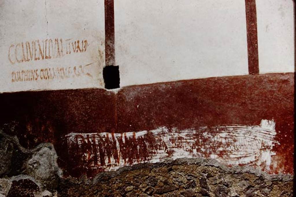 Vicolo di Ifigenia, east side, Pompeii. 1961. Exterior wall between entrances III.4.e, on left, and III.4.d, on right. 
Photo by Stanley A. Jashemski.
Source: The Wilhelmina and Stanley A. Jashemski archive in the University of Maryland Library, Special Collections (See collection page) and made available under the Creative Commons Attribution-Non Commercial License v.4. See Licence and use details.
J61f0556
The inscription on the left reads – C. CALVENTIVM II . V. R I . D
                                                                 PAMPHILVS . CVM NATALE ROG
We cannot read the large inscription, which looks as if it has been over-painted many times, but according to Eschebach, Giordano & Casale, p.281, had also read 
No.25: “Pamphilus rog Acestes” – No.26: “Pamphilus cum Natale rog” (above) – and on p.298, No. 106: “Ampliata, Florilla” – No. 108 & 110: “Pamphilus” – and on page 299, No.111: “Pamphilus”.
See Eschebach, L., 1993. Gebäudeverzeichnis und Stadtplan der antiken Stadt Pompeji. Köln: Böhlau. (p.106-7)