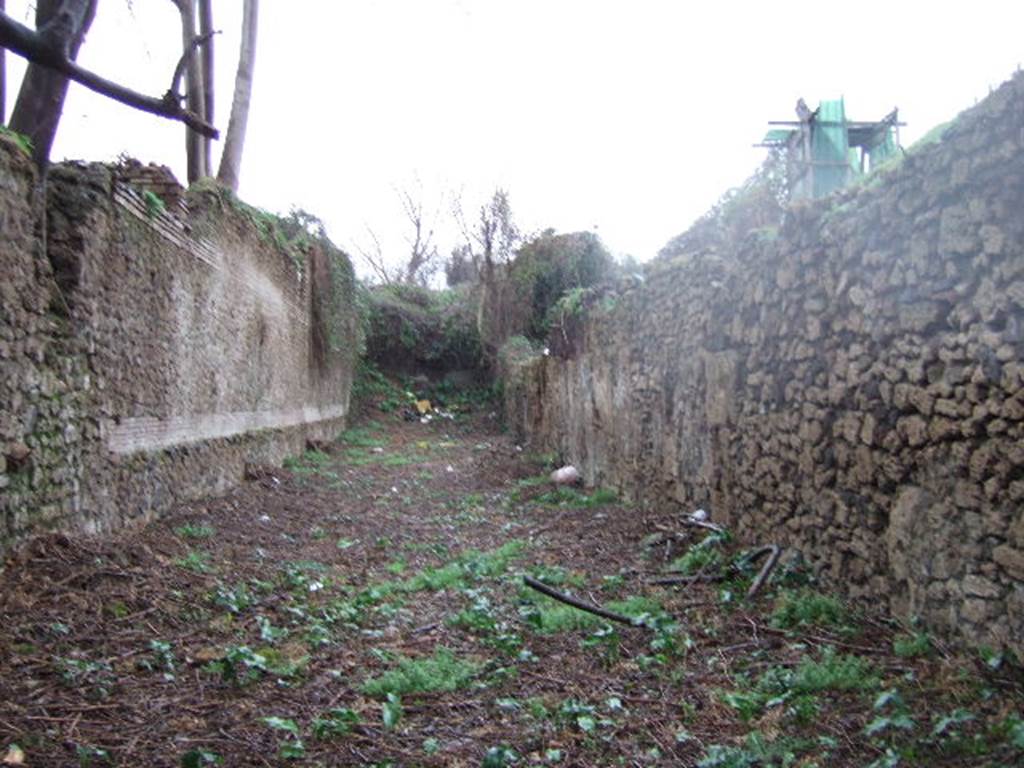 Vicolo di Ifigenia between III.3 and III.4. North end. Looking north to unexcavated area. December 2005.