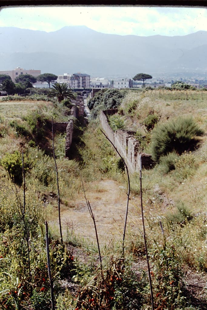 Vicolo di Ifigenia between III.4 and III.3, Pompeii. 1968. North end. 
Looking south towards Nocera Gate and modern Pompeii, from the unexcavated area. 
Photo by Stanley A. Jashemski.
Source: The Wilhelmina and Stanley A. Jashemski archive in the University of Maryland Library, Special Collections (See collection page) and made available under the Creative Commons Attribution-Non Commercial License v.4. See Licence and use details.
J68f0857