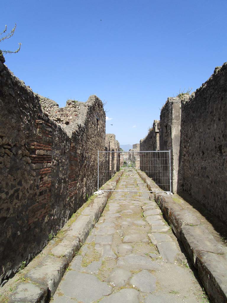 Vicolo di Mercurio. April 2019. Looking east between VI.16 and VI.14, from crossroads with Vicolo dei Vettii.
Photo courtesy of Rick Bauer.