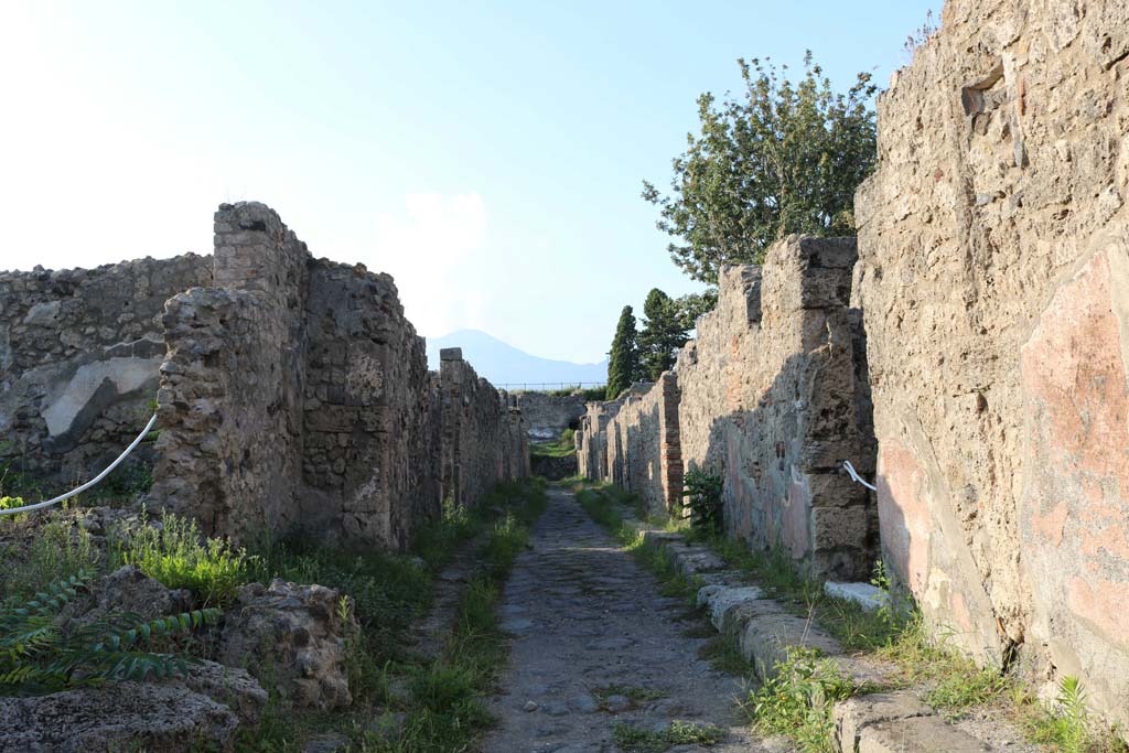 Vicolo di Modesto, Pompeii. December 2018. 
Looking north between VI.2 and VI.5, from VI.2.28 on left. Photo courtesy of Aude Durand.
