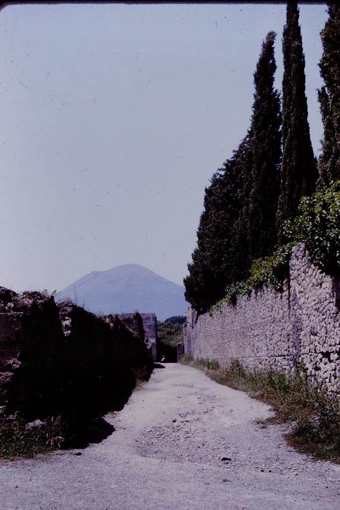 Vicolo di Octavius Quartio, Pompeii. 1964. 
Looking north from the junction with Via di Castricio. Photo by Stanley A. Jashemski.
Source: The Wilhelmina and Stanley A. Jashemski archive in the University of Maryland Library, Special Collections (See collection page) and made available under the Creative Commons Attribution-Non-Commercial License v.4. See Licence and use details.
J64f1073