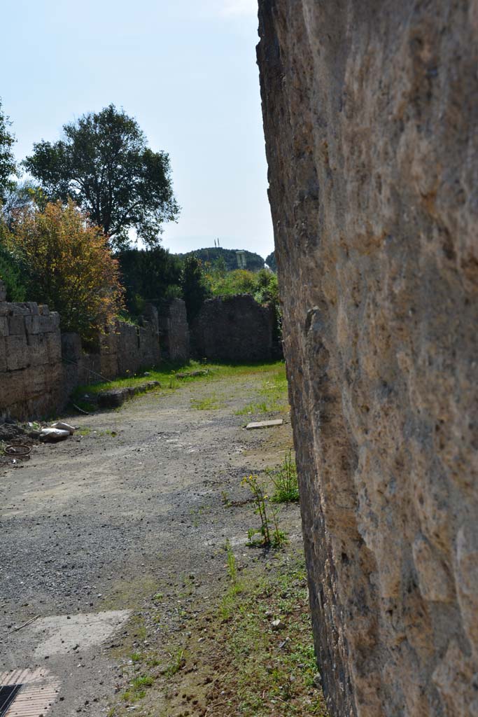 Vicolo di Paquius Proculus. April 2017. Looking south from near I.10.16, on right. 
On the left is I.19. Photo courtesy Adrian Hielscher.