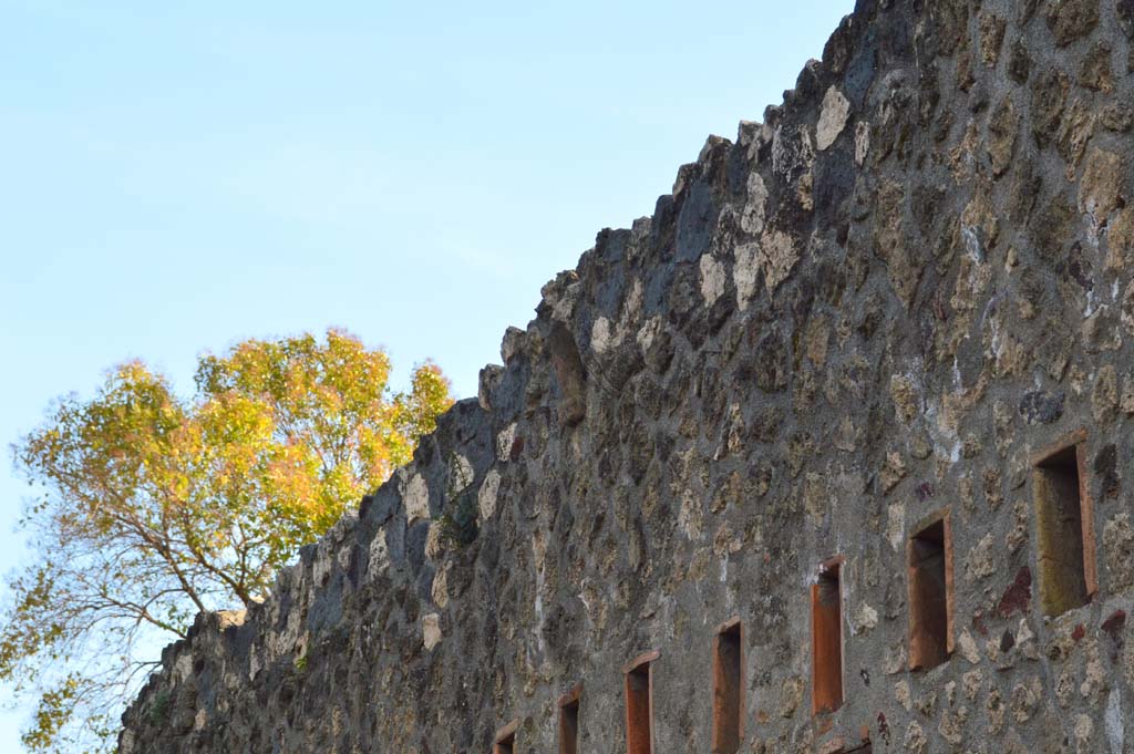 Vicolo di Paquius Proculus, Pompeii. March 2019. West wall of roadway, upper wall of I.10.15 with phallus set into wall.
Foto Taylor Lauritsen, ERC Grant 681269 DÉCOR.
