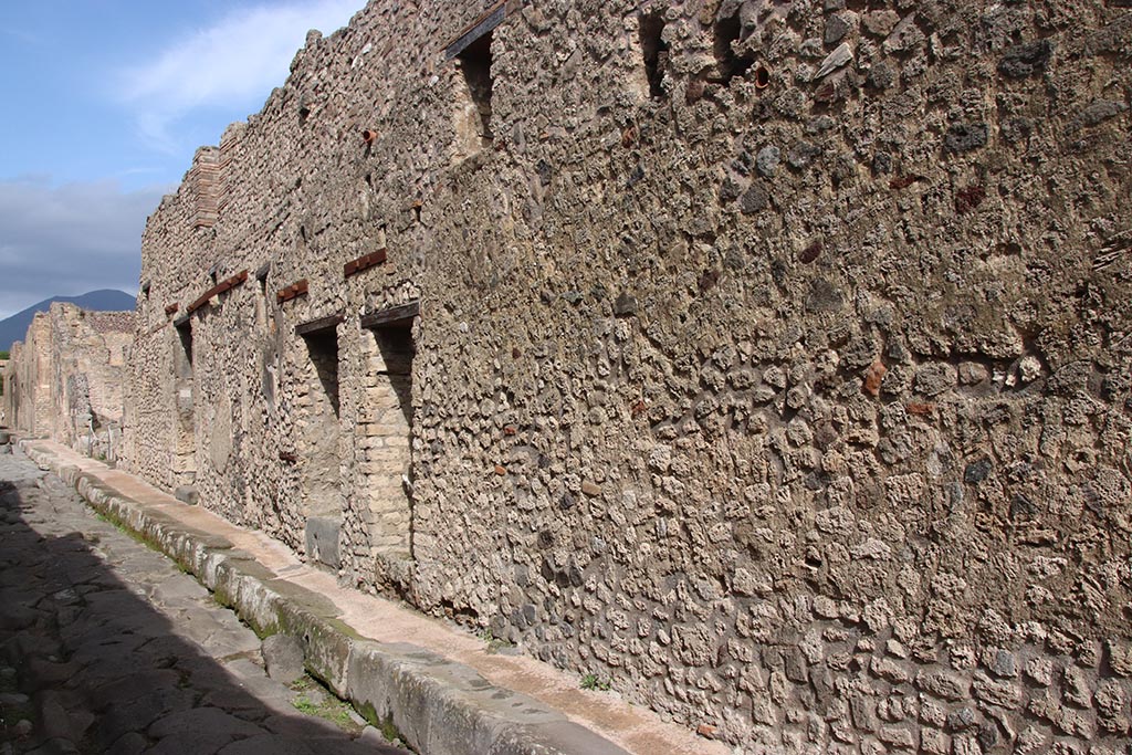 Vicolo di Tesmo, Pompeii. October 2024. 
Looking north along Insula 6 on east side of Vicolo di Tesmo, with IX.6.1 in centre. Photo courtesy of Klaus Heese