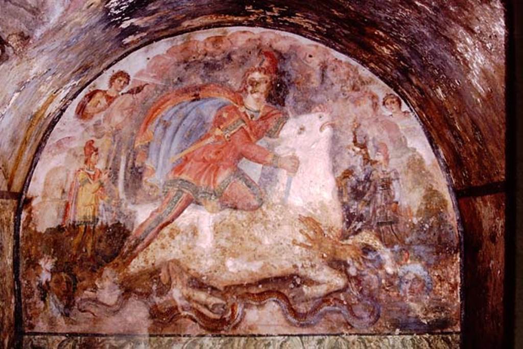 Santa Maria Capua Vetere, Mithraeum. 1974. West wall. Tauroctony or painting of Mithras slaying the sacred bull. Photo by Stanley A. Jashemski.   
Source: The Wilhelmina and Stanley A. Jashemski archive in the University of Maryland Library, Special Collections (See collection page) and made available under the Creative Commons Attribution-Non Commercial License v.4. See Licence and use details.
J74f0579