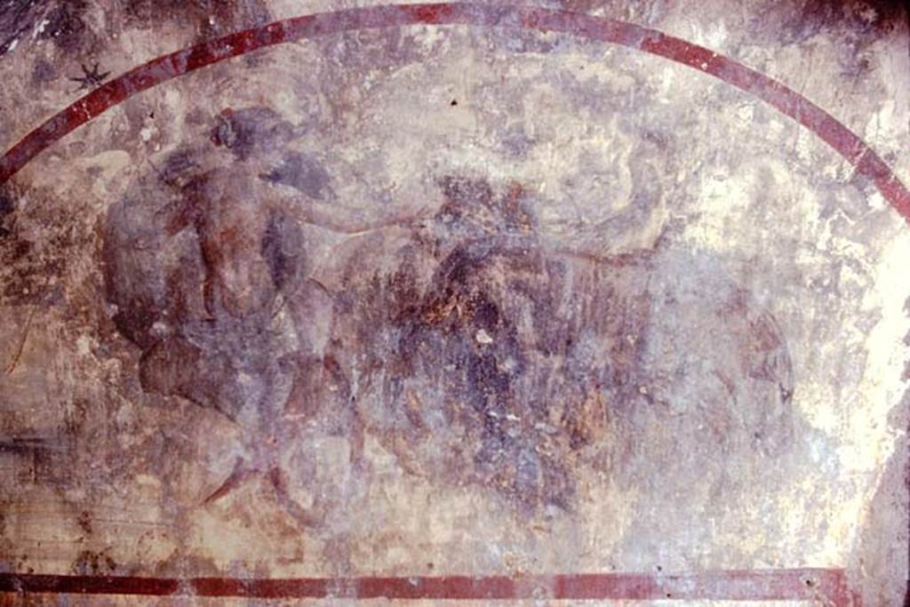 Santa Maria Capua Vetere, Mithraeum. 1974. Fresco of Luna/Diana on the East wall.
Photo by Stanley A. Jashemski.   
Source: The Wilhelmina and Stanley A. Jashemski archive in the University of Maryland Library, Special Collections (See collection page) and made available under the Creative Commons Attribution-Non-Commercial License v.4. See Licence and use details.
J74f0581
In an arch-shaped frame the representation of Luna, seated in a biga (two wheeled chariot). 
She is dressed in a green tunica, leaving the brownish back uncovered. 
Of the horses, which are driven with the aid of whip and reins, the darkish one with drooping head is moving already, whereas the grey horse, turning its head towards the goddess, seems to be waiting a signal.
See Vermaseren M. J., 1971. Corpus Inscriptionum et Monumentorum Religionis Mithriacae, p. 107, no. 184, fig. 55.