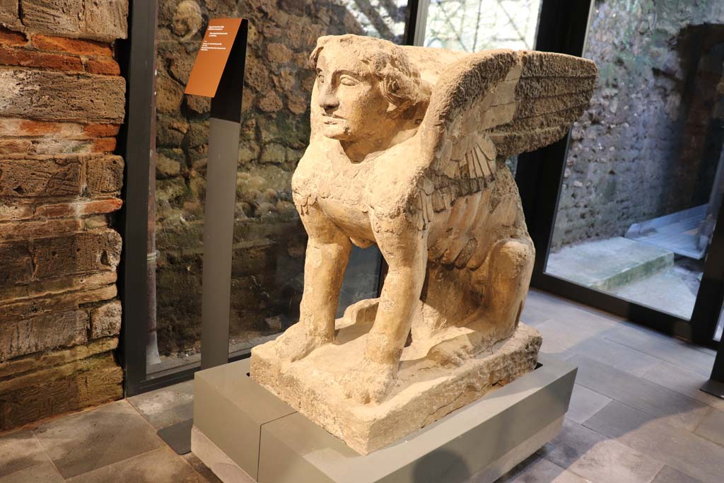 From Farm of Fondo Prisco, Boscoreale. February 2021. 
Detail of tufa Sphynx-shaped tombstone re-used as a kerbstone, on display in Pompeii Antiquarium.
Photo courtesy of Fabien Bièvre-Perrin (CC BY-NC-SA).