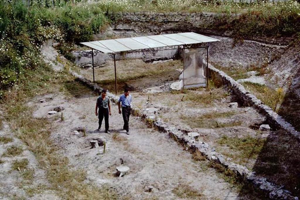 Scafati, 1968. On the left are the ancient furrows, and then the plaster-casts of 6 tree root-cavities.
The men are working along the route of the small ancient roadway, two metres wide.
The triangular tomb enclosure is on the right, and the remains of the tomb, together with 6 tree root-cavities can be seen. 
Photo by Stanley A. Jashemski.
Source: The Wilhelmina and Stanley A. Jashemski archive in the University of Maryland Library, Special Collections (See collection page) and made available under the Creative Commons Attribution-Non Commercial License v.4. See Licence and use details.
J68f1082