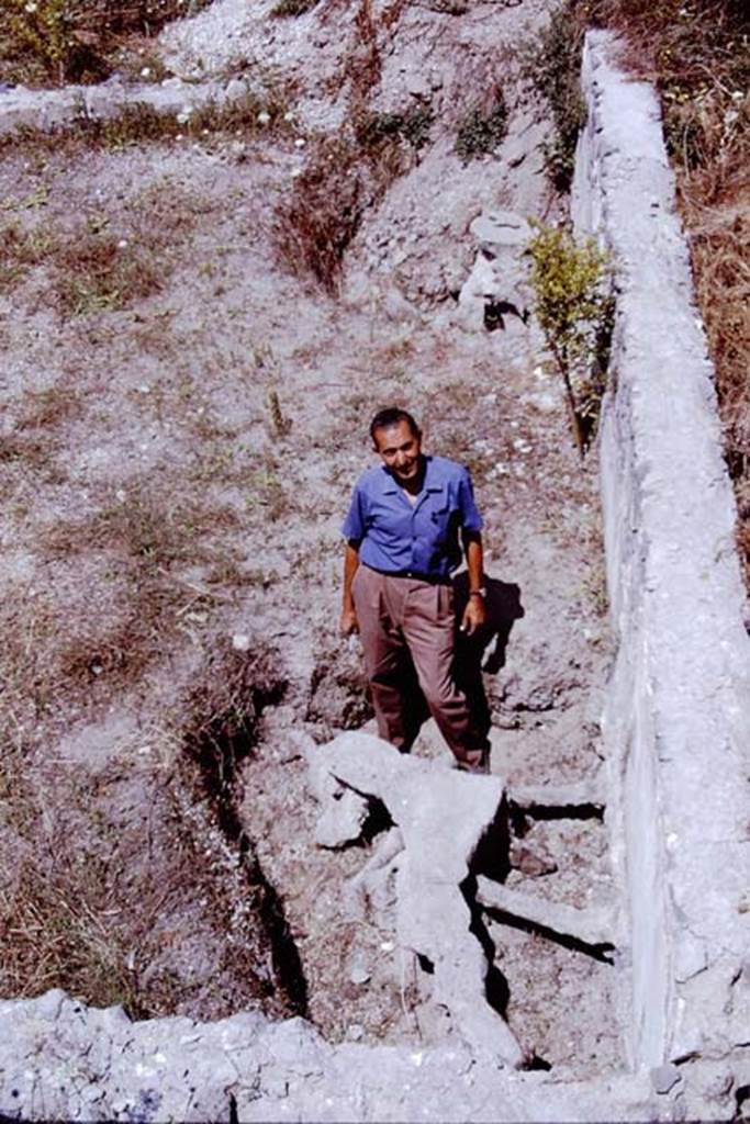 Scafati, 1968.  
Looking along the rear wall of the tomb-garden with casts of the two large trees in the corners near the rear wall.
Photo by Stanley A. Jashemski.
Source: The Wilhelmina and Stanley A. Jashemski archive in the University of Maryland Library, Special Collections (See collection page) and made available under the Creative Commons Attribution-Non Commercial License v.4. See Licence and use details.
J68f1354