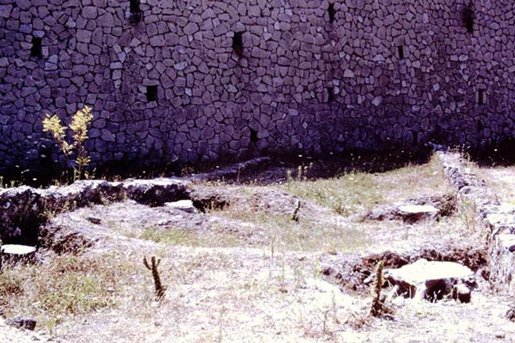 Scafati, 1968.  Area between the casts of four tree-roots in front of the tomb. Photo by Stanley A. Jashemski.
Source: The Wilhelmina and Stanley A. Jashemski archive in the University of Maryland Library, Special Collections (See collection page) and made available under the Creative Commons Attribution-Non Commercial License v.4. See Licence and use details.
J68f1368