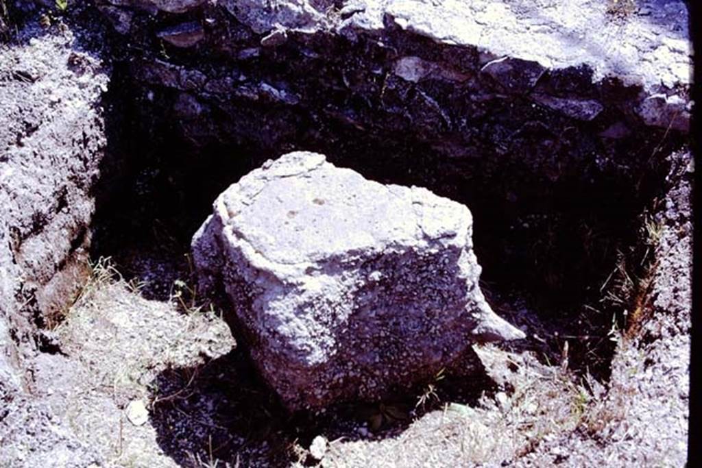 Scafati, 1968. Cast of a tree-root from the area in front of the tomb.  Photo by Stanley A. Jashemski.
Source: The Wilhelmina and Stanley A. Jashemski archive in the University of Maryland Library, Special Collections (See collection page) and made available under the Creative Commons Attribution-Non Commercial License v.4. See Licence and use details.
J68f1363