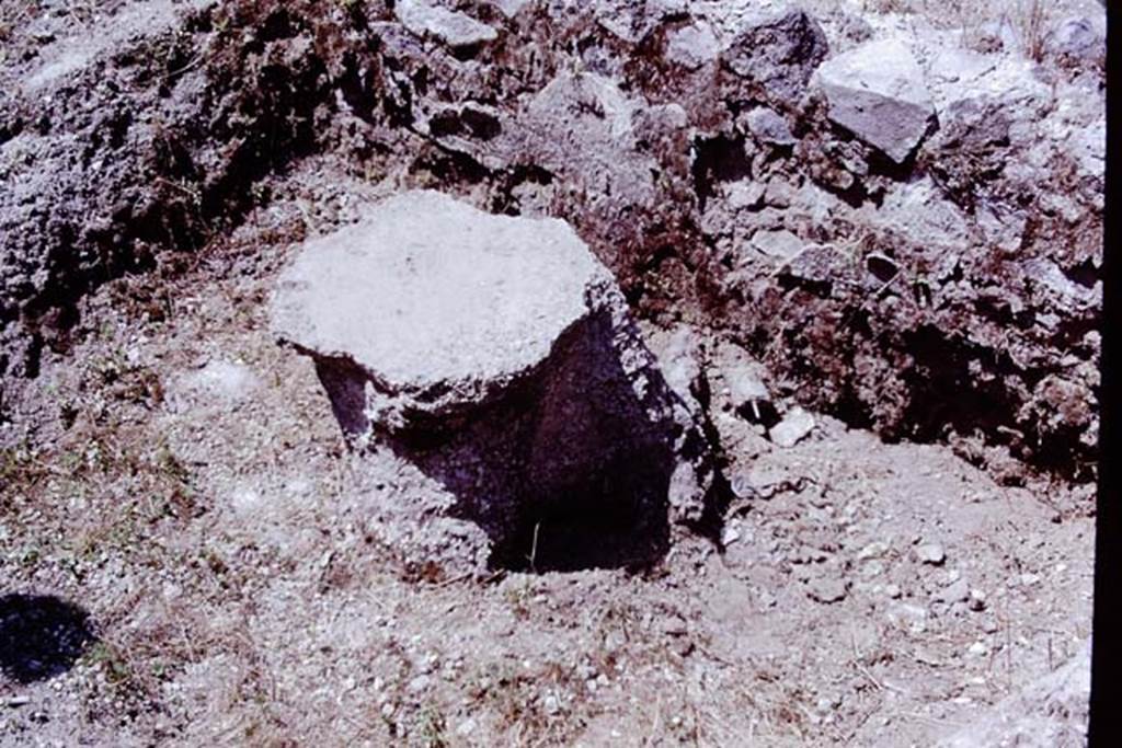 Scafati, 1968. Cast of a tree-root from the area in front of the tomb. Photo by Stanley A. Jashemski.
Source: The Wilhelmina and Stanley A. Jashemski archive in the University of Maryland Library, Special Collections (See collection page) and made available under the Creative Commons Attribution-Non Commercial License v.4. See Licence and use details.
J68f1364