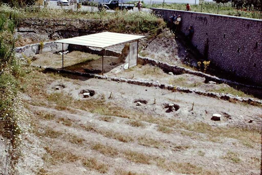 Scafati, 1968. Looking across the furrowed area towards the row of trees, the small roadway, and the walls of the tomb-garden.
Photo by Stanley A. Jashemski.
Source: The Wilhelmina and Stanley A. Jashemski archive in the University of Maryland Library, Special Collections (See collection page) and made available under the Creative Commons Attribution-Non Commercial License v.4. See Licence and use details.
J68f1488