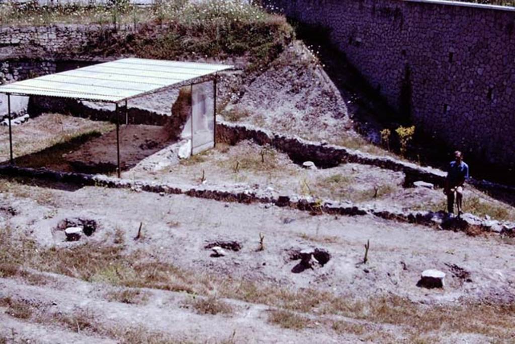 Scafati, 1968. Looking east across area of tomb-garden.  Photo by Stanley A. Jashemski.
Source: The Wilhelmina and Stanley A. Jashemski archive in the University of Maryland Library, Special Collections (See collection page) and made available under the Creative Commons Attribution-Non Commercial License v.4. See Licence and use details.
J68f1370