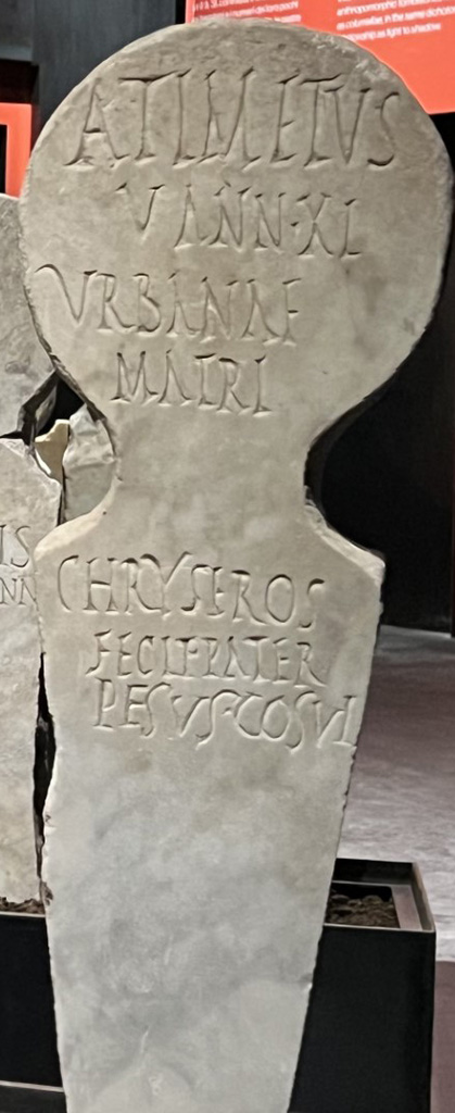 Pompeii Fondo Azzolini. Roman Tomb 81: Aulus Timetus.
On display in exhibition “L’altra Pompei, vite comuni all’ombra del Vesuvio”.
Photo courtesy of Giuseppe Ciaramella.
Single burial. Burial of a freeborn person.
Columella with inscription
ATIMETUS
V ANN XI
URBANAE
MATRI
CHRYSEROS
FECIT PATER
PESUS COSUI (?)
A(ulus) Timetus
v(ixit) ann(is) XI
urbanae
matri
chryseros
fecit pater
pesus cosui
See Notizie degli Scavi di Antichità, 1916, 303, t81.
