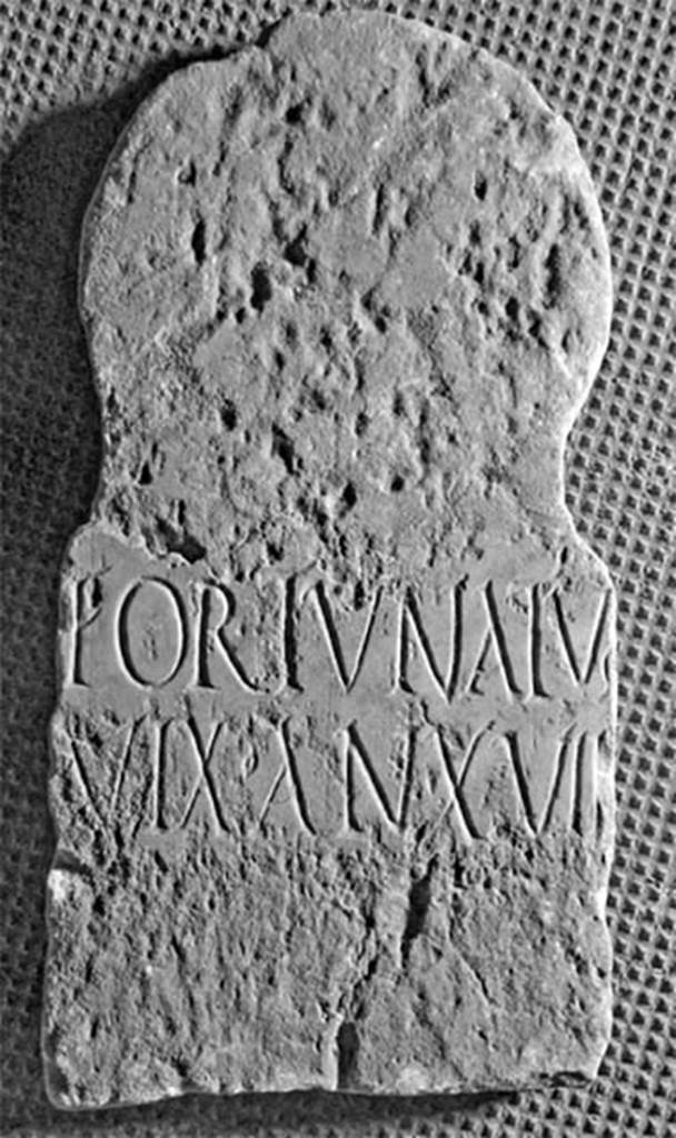 FS97-6. Marble columella of Fortunatus.
Inscription reads
FORTVNATVs
VIX   •   AN    •   XVII
Fortunatus
vix(it) an(nis) XVII
Burial of a slave.
See Notizie degli Scavi di Antichità, 1897, p. 276, no. 6.
Photo © Umberto Soldovieri.